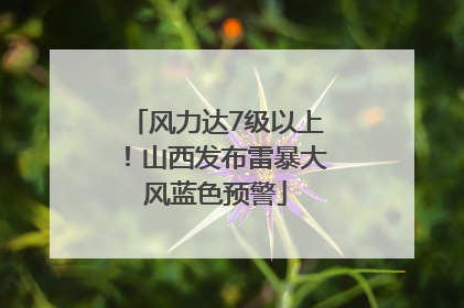 风力达7级以上！山西发布雷暴大风蓝色预警