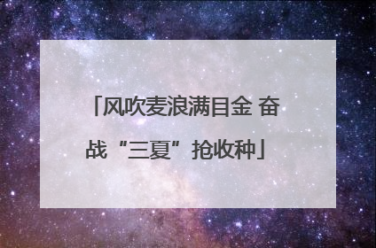 风吹麦浪满目金 奋战“三夏”抢收种
