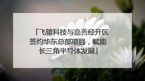 飞骧科技与嘉善经开区签约华东总部项目，赋能长三角半导体发展