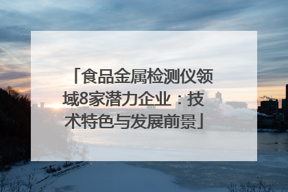 食品金属检测仪领域8家潜力企业：技术特色与发展前景