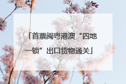 首票闽粤港澳“四地一锁”出口货物通关