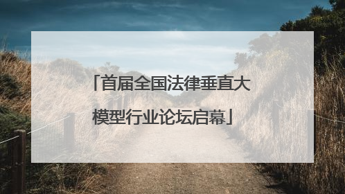 首届全国法律垂直大模型行业论坛启幕
