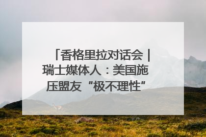 香格里拉对话会｜瑞士媒体人：美国施压盟友“极不理性” 欧洲国家无意与中国“脱钩断链”