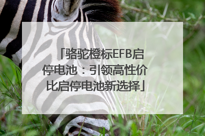 骆驼橙标EFB启停电池：引领高性价比启停电池新选择