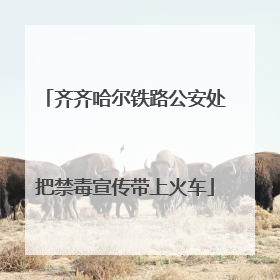 齐齐哈尔铁路公安处把禁毒宣传带上火车