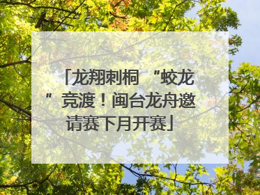 龙翔刺桐 “蛟龙”竞渡！闽台龙舟邀请赛下月开赛