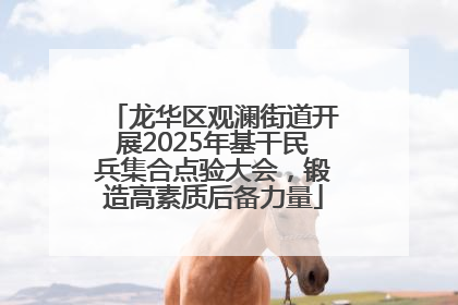 龙华区观澜街道开展2025年基干民兵集合点验大会，锻造高素质后备力量
