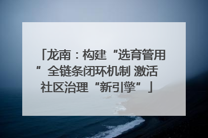 龙南：构建“选育管用”全链条闭环机制 激活社区治理“新引擎”