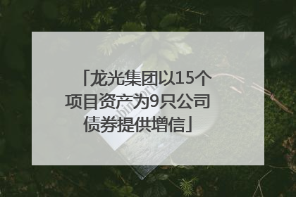 龙光集团以15个项目资产为9只公司债券提供增信