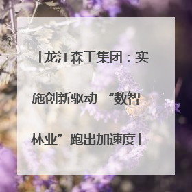 龙江森工集团：实施创新驱动 “数智林业”跑出加速度
