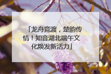 龙舟竞渡，楚韵传情！知音湖北端午文化焕发新活力