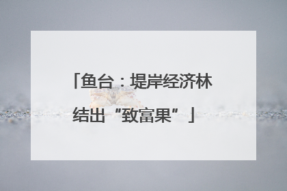 鱼台：堤岸经济林结出“致富果”