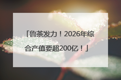 鲁茶发力！2026年综合产值要超200亿！