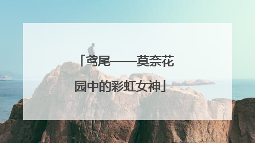鸢尾——莫奈花园中的彩虹女神