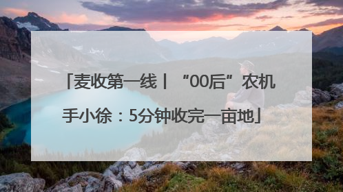 麦收第一线丨“00后”农机手小徐：5分钟收完一亩地