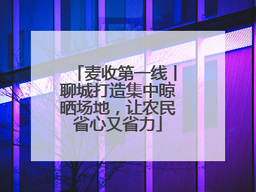 麦收第一线丨聊城打造集中晾晒场地，让农民省心又省力