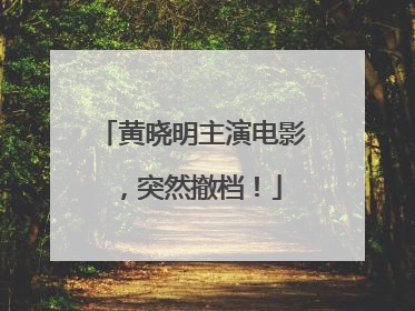 黄晓明主演电影，突然撤档！