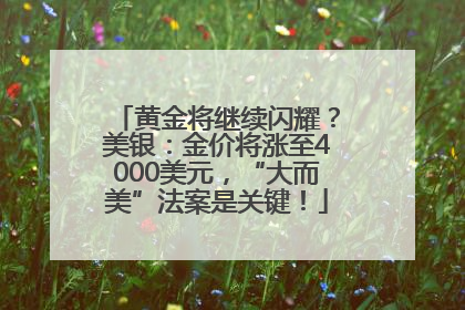 黄金将继续闪耀？美银：金价将涨至4000美元，“大而美”法案是关键！