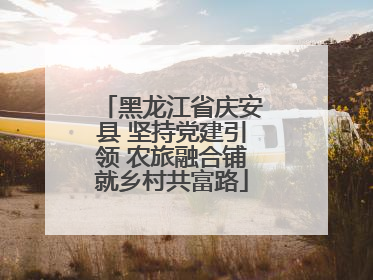 黑龙江省庆安县 坚持党建引领 农旅融合铺就乡村共富路