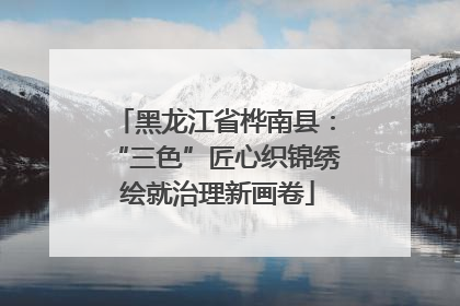 黑龙江省桦南县：“三色”匠心织锦绣 绘就治理新画卷