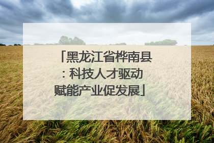 黑龙江省桦南县：科技人才驱动 赋能产业促发展