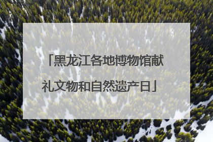 黑龙江各地博物馆献礼文物和自然遗产日