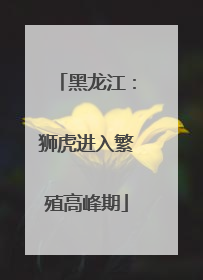 黑龙江：狮虎进入繁殖高峰期