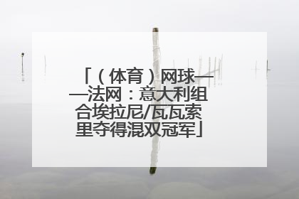 （体育）网球——法网：意大利组合埃拉尼/瓦瓦索里夺得混双冠军