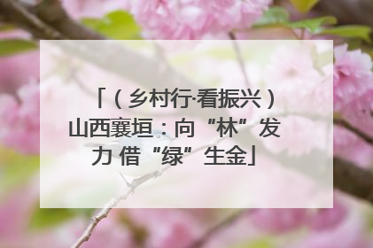 （乡村行·看振兴）山西襄垣：向“林”发力 借“绿”生金