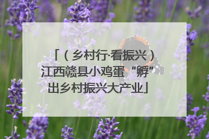 （乡村行·看振兴）江西赣县小鸡蛋“孵”出乡村振兴大产业