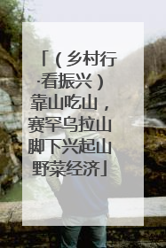 （乡村行·看振兴）靠山吃山，赛罕乌拉山脚下兴起山野菜经济