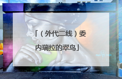（外代二线）委内瑞拉的翠鸟