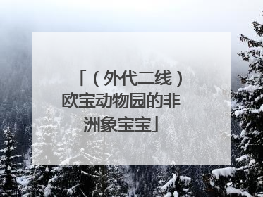 （外代二线）欧宝动物园的非洲象宝宝