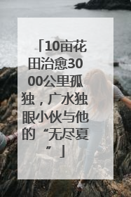 10亩花田治愈3000公里孤独，广水独眼小伙与他的“无尽夏”