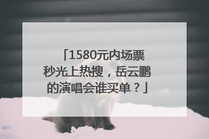 1580元内场票秒光上热搜，岳云鹏的演唱会谁买单？