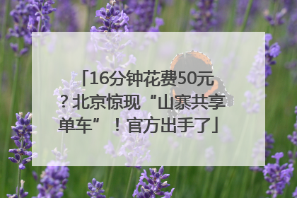 16分钟花费50元？北京惊现“山寨共享单车”！官方出手了