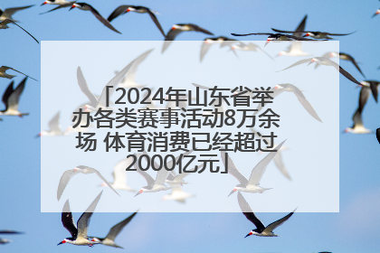 2024年山东省举办各类赛事活动8万余场 体育消费已经超过2000亿元