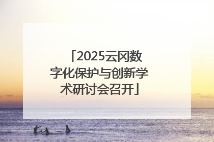 2025云冈数字化保护与创新学术研讨会召开
