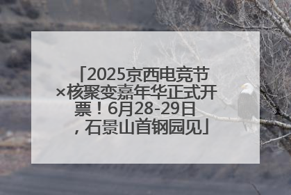 2025京西电竞节×核聚变嘉年华正式开票！6月28-29日，石景山首钢园见