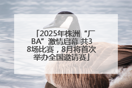 2025年株洲“厂BA”激情启幕 共38场比赛，8月将首次举办全国邀请赛