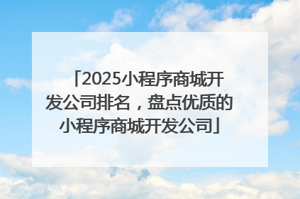 2025小程序商城开发公司排名，盘点优质的小程序商城开发公司
