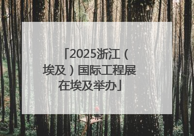 2025浙江（埃及）国际工程展在埃及举办
