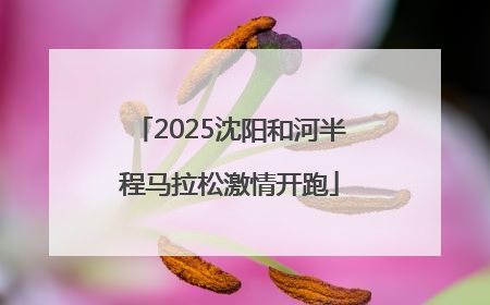 2025沈阳和河半程马拉松激情开跑