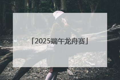 2025端午龙舟赛