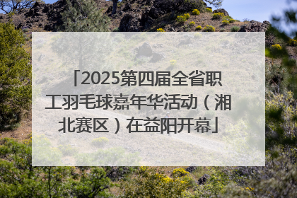 2025第四届全省职工羽毛球嘉年华活动（湘北赛区）在益阳开幕