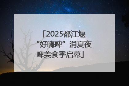2025都江堰“好嗨啤”消夏夜啤美食季启幕