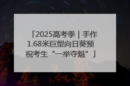 2025高考季｜手作1.68米巨型向日葵预祝考生“一举夺魁”