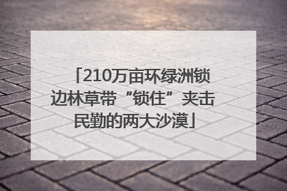 210万亩环绿洲锁边林草带“锁住”夹击民勤的两大沙漠