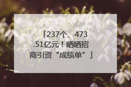 237个、473.51亿元！晒晒招商引资“成绩单”