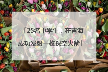 25名中学生，在青海成功发射一枚探空火箭